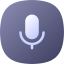Mic Test